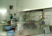 Blanching of kernels to scale off skin