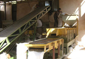 Mechanical sorting and grading of pistachios