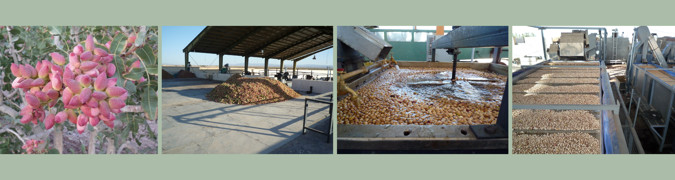 Logistik & Service – Exxir