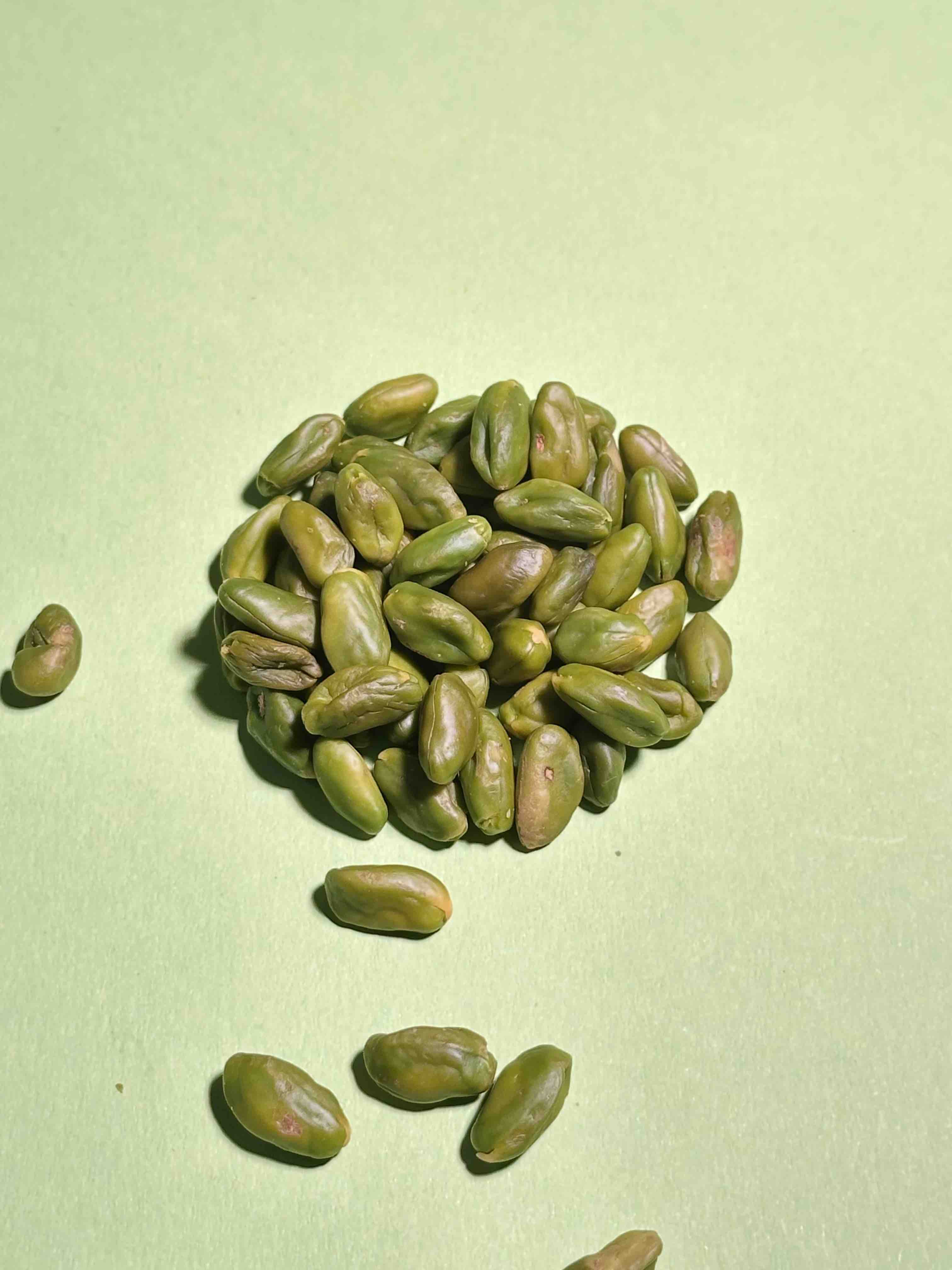 Blanchierter Pistazienkern – Farbe C